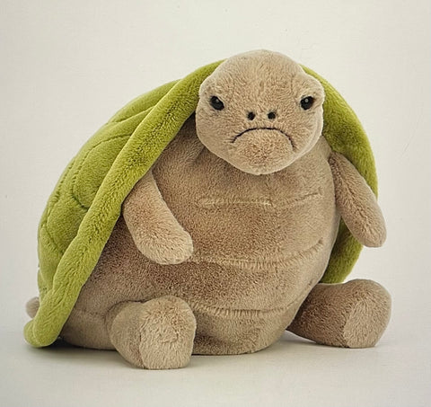 Timmy Turtle