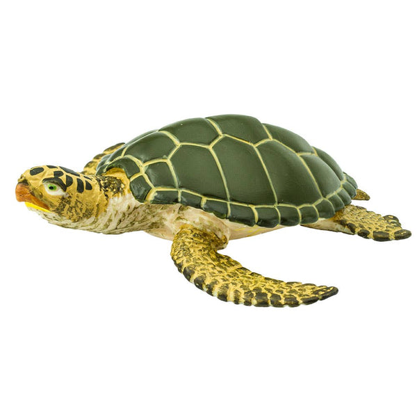 Green Sea Turtle - 274329