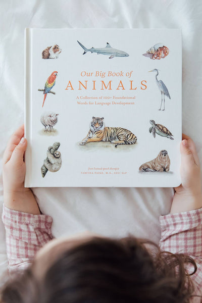 Paige and Tate Our Big Book of Animals (Board Book)