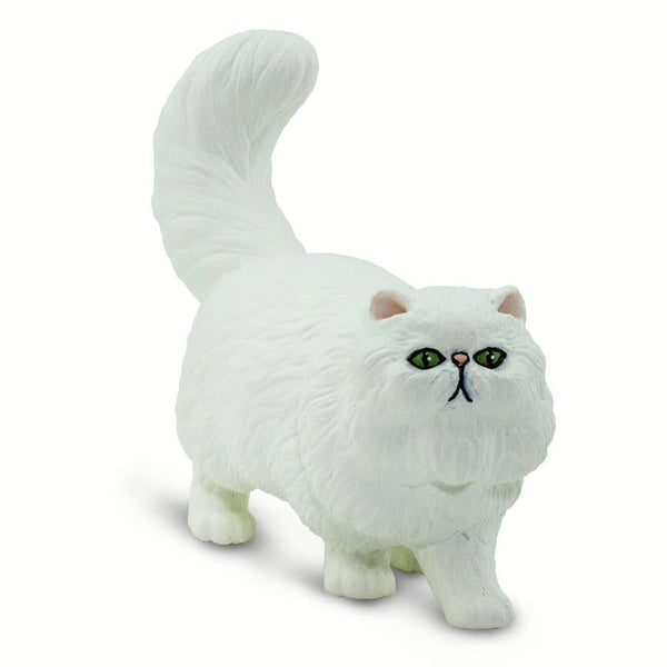 Persian Cat - 100203