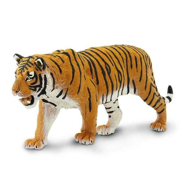 Siberian Tiger - 111389