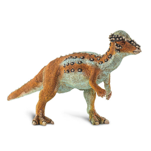 Pachycephalosaurus - 100350