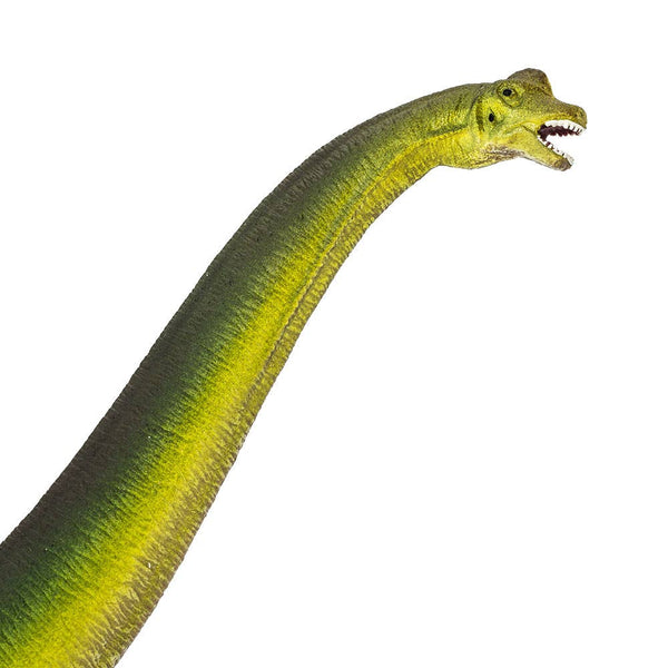 Brachiosaurus - 300229