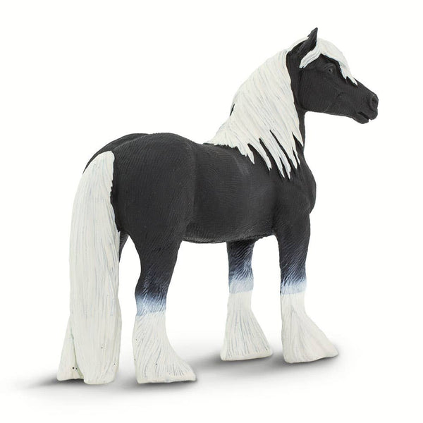 Gypsy Vanner Stallion - 150305