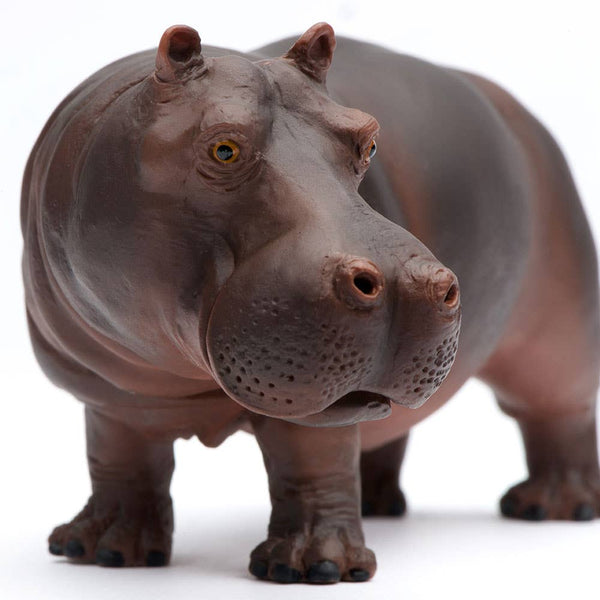 Hippopotamus Figurine Toy for Kids