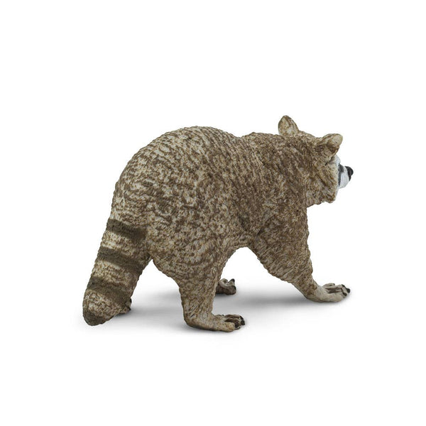 Raccoon - 223029