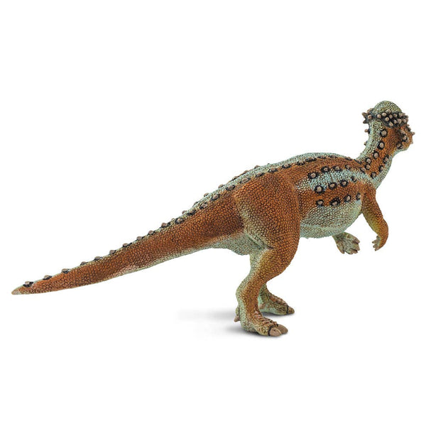 Pachycephalosaurus - 100350