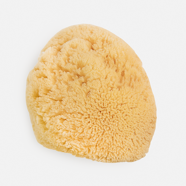 Natural Sea Sponges