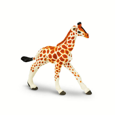 Reticulated Giraffe Baby - 268529