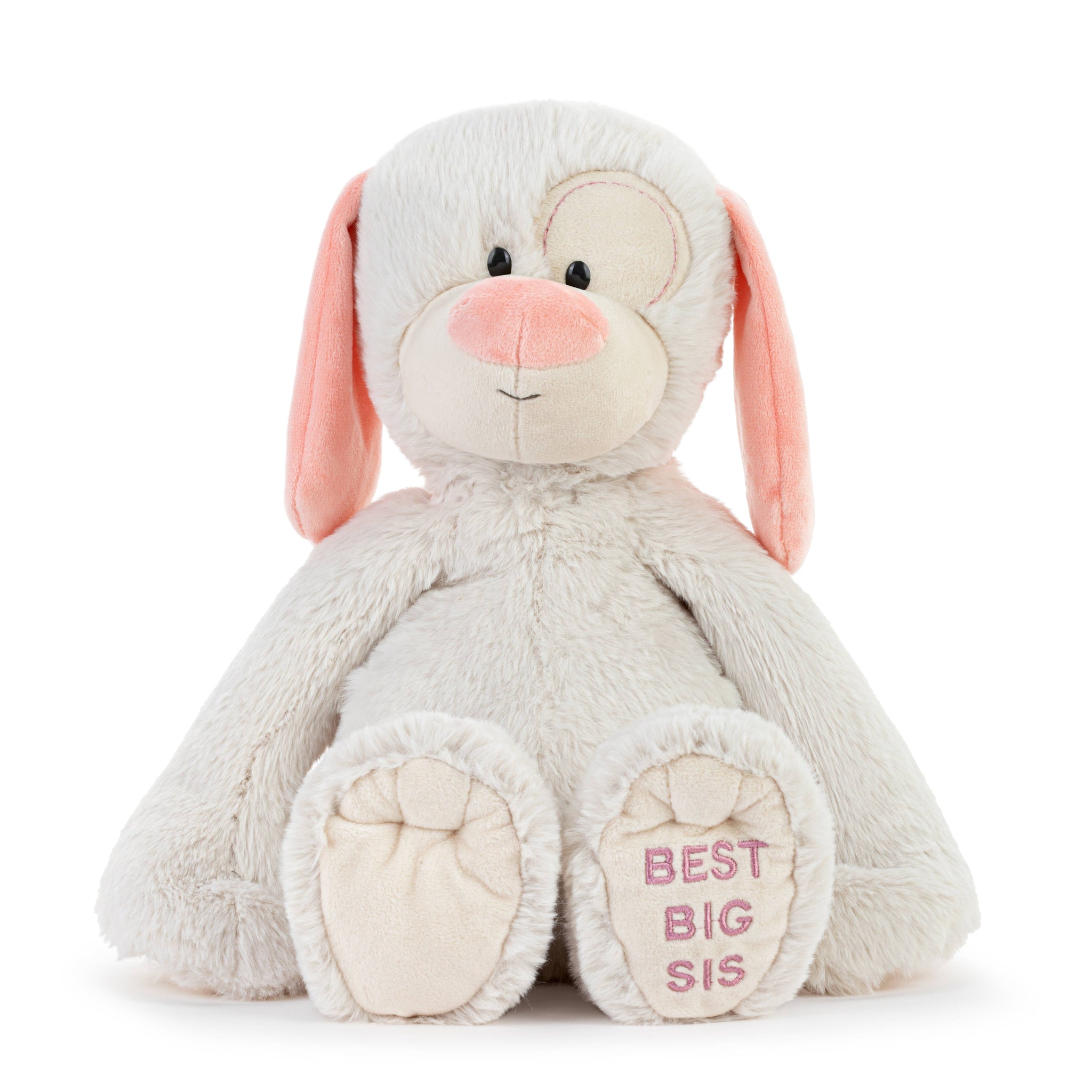 Best Big Sister Plush Dog 16"