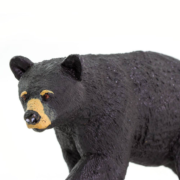 Black Bear - 273529