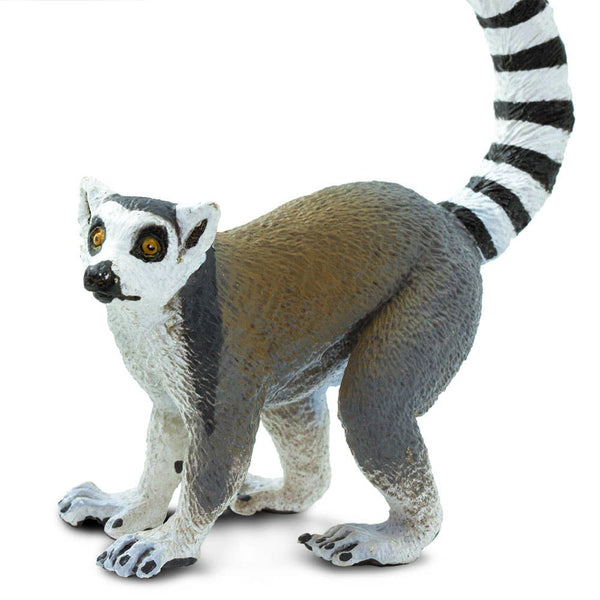 Ring - Tailed Lemur - 292229