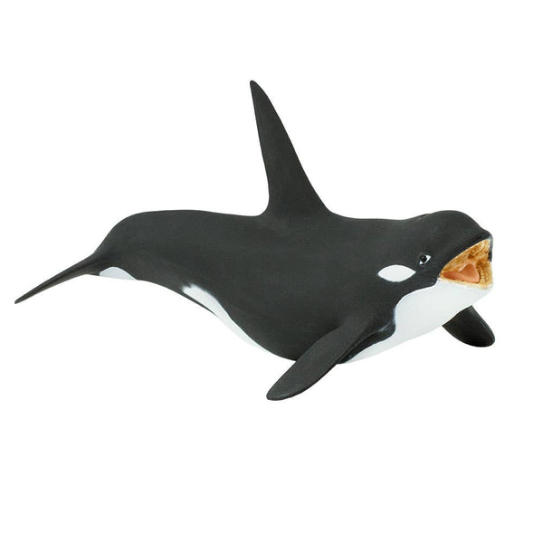 Killer Whale - 275129