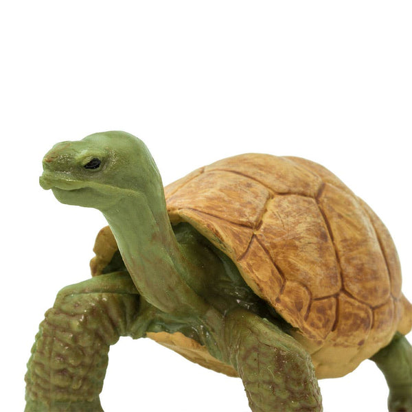 Giant Tortoise - 272529