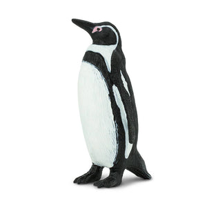 Humboldt Penguin - 276229