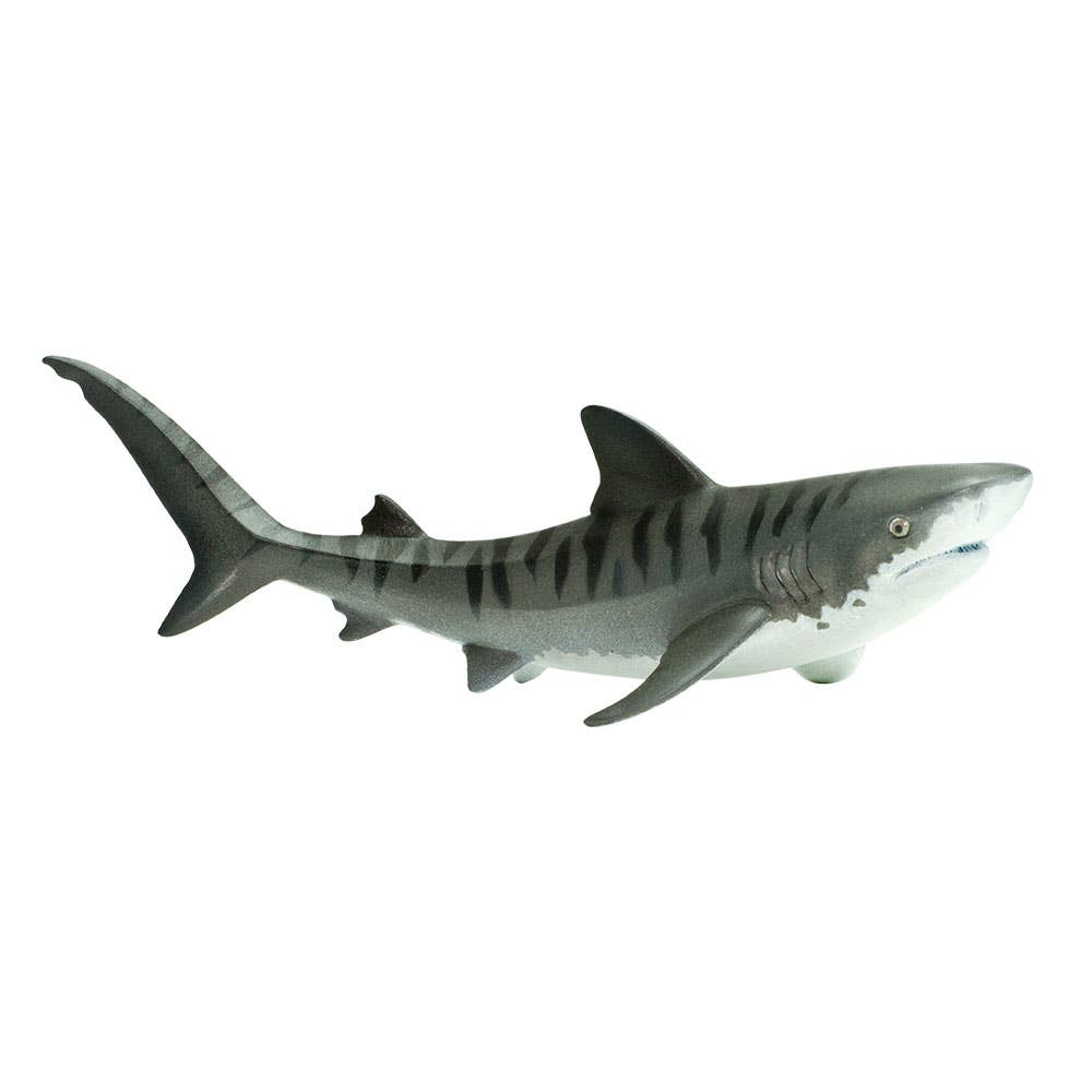 Tiger Shark - 202229