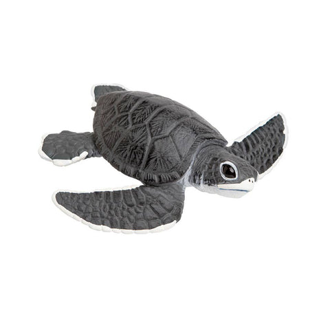 Sea Turtle Baby - 268129