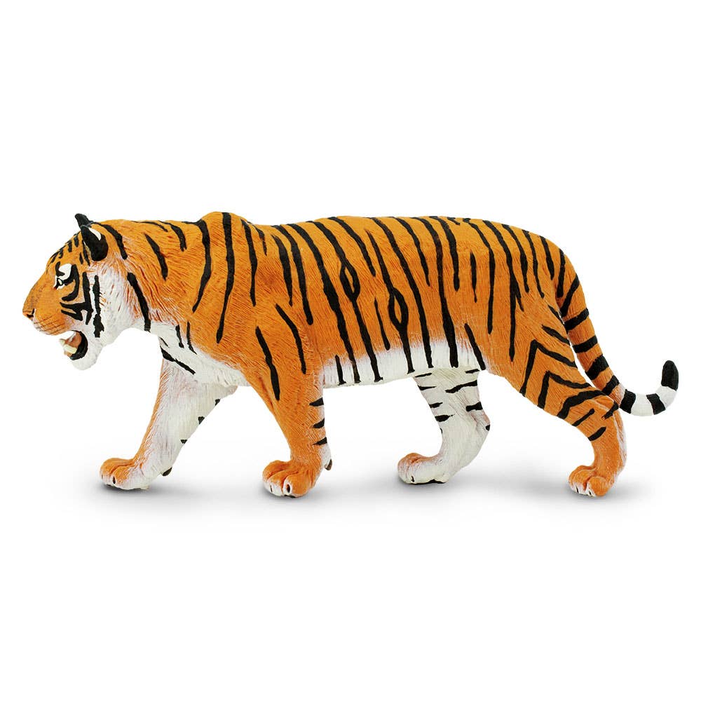 Siberian Tiger - 111389