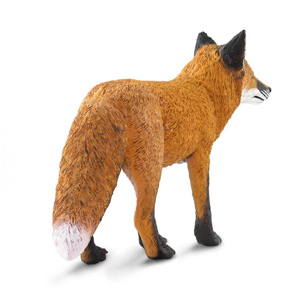 Red Fox - 100361