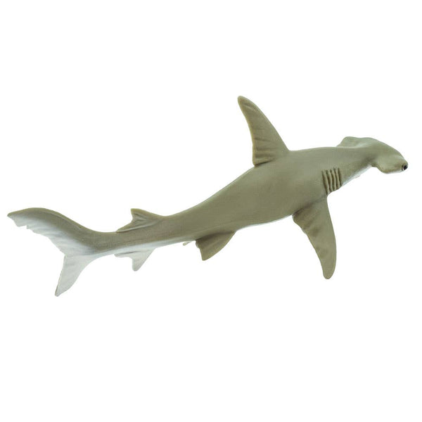 Hammerhead Shark - 274829