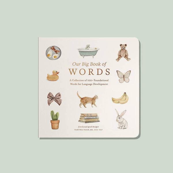 Paige and Tate Our Big Book of First Words (Board Book)