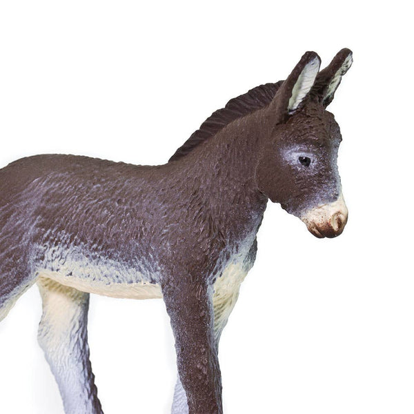 Donkey Foal - 249929