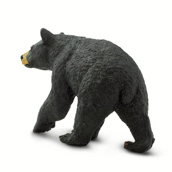 Black Bear - 273529