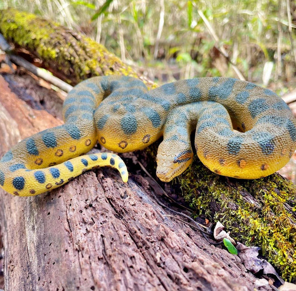 Green Anaconda Snake - 100688