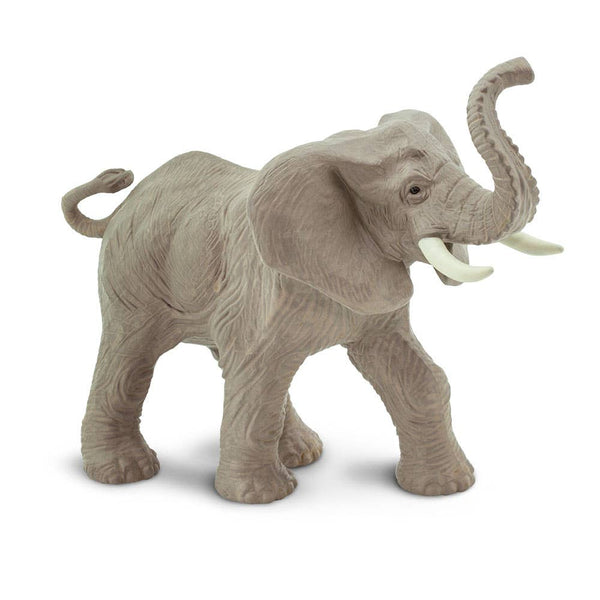 African Elephant - 238429