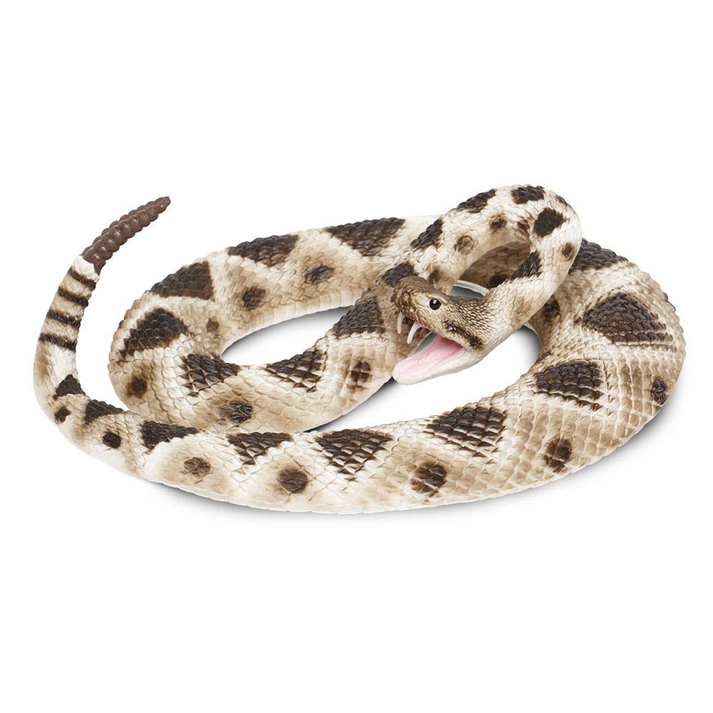 Eastern Diamondback Rattlesnake - 269329