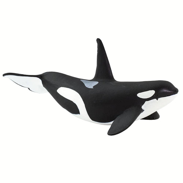 Orca - 100232