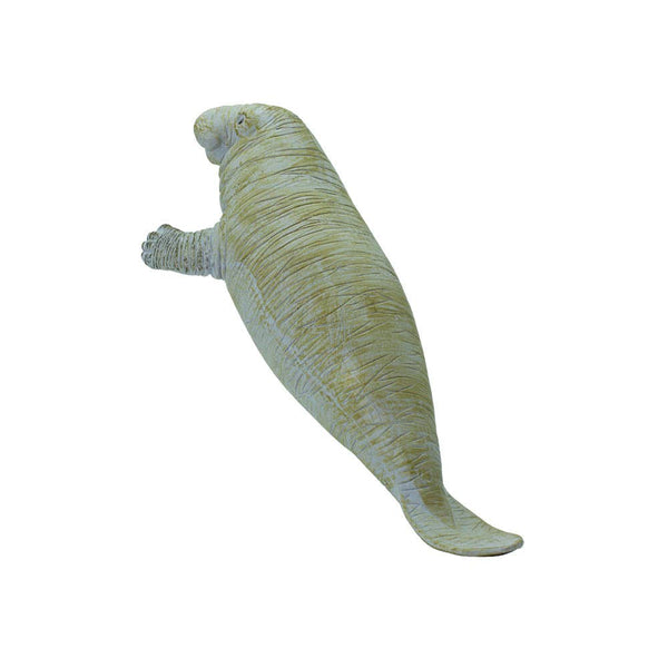 Manatee - 273929