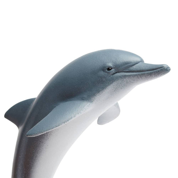 Dolphin - 200129