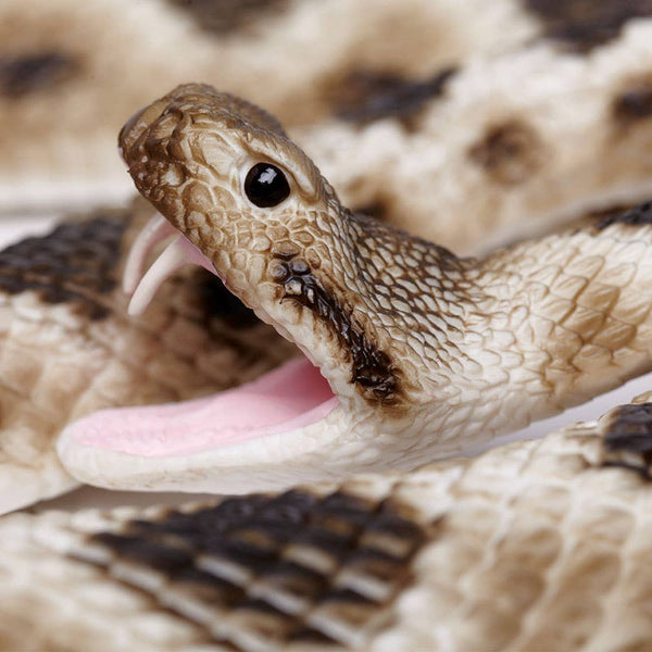 Eastern Diamondback Rattlesnake - 269329