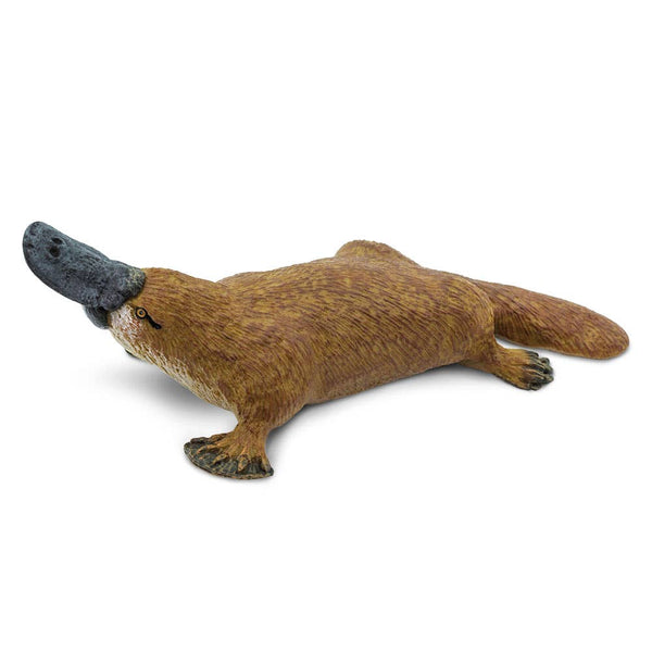 Platypus - 283529