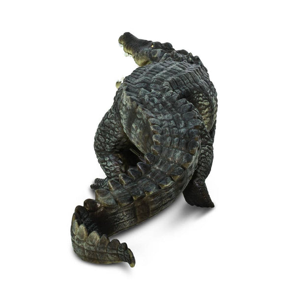 Saltwater Crocodile - 262629