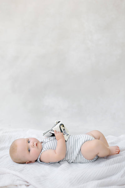 Paige and Tate Crinkle Book Made with ORGANIC Cotton