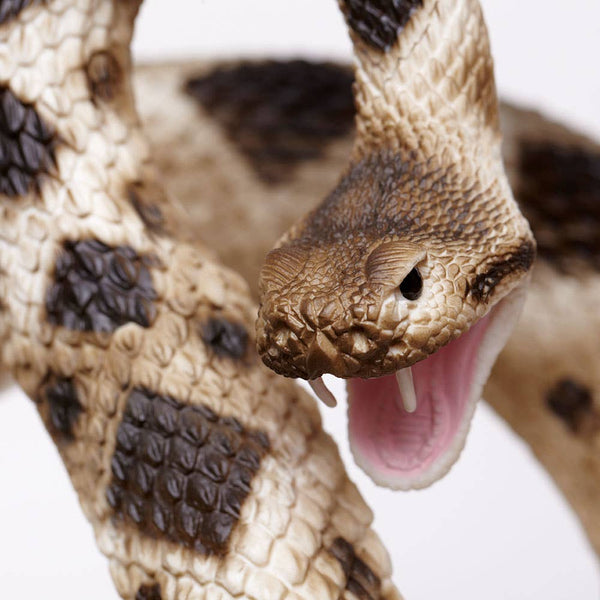 Eastern Diamondback Rattlesnake - 269329