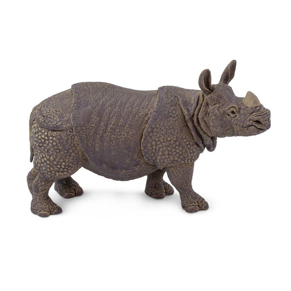 Indian Rhino - 297329