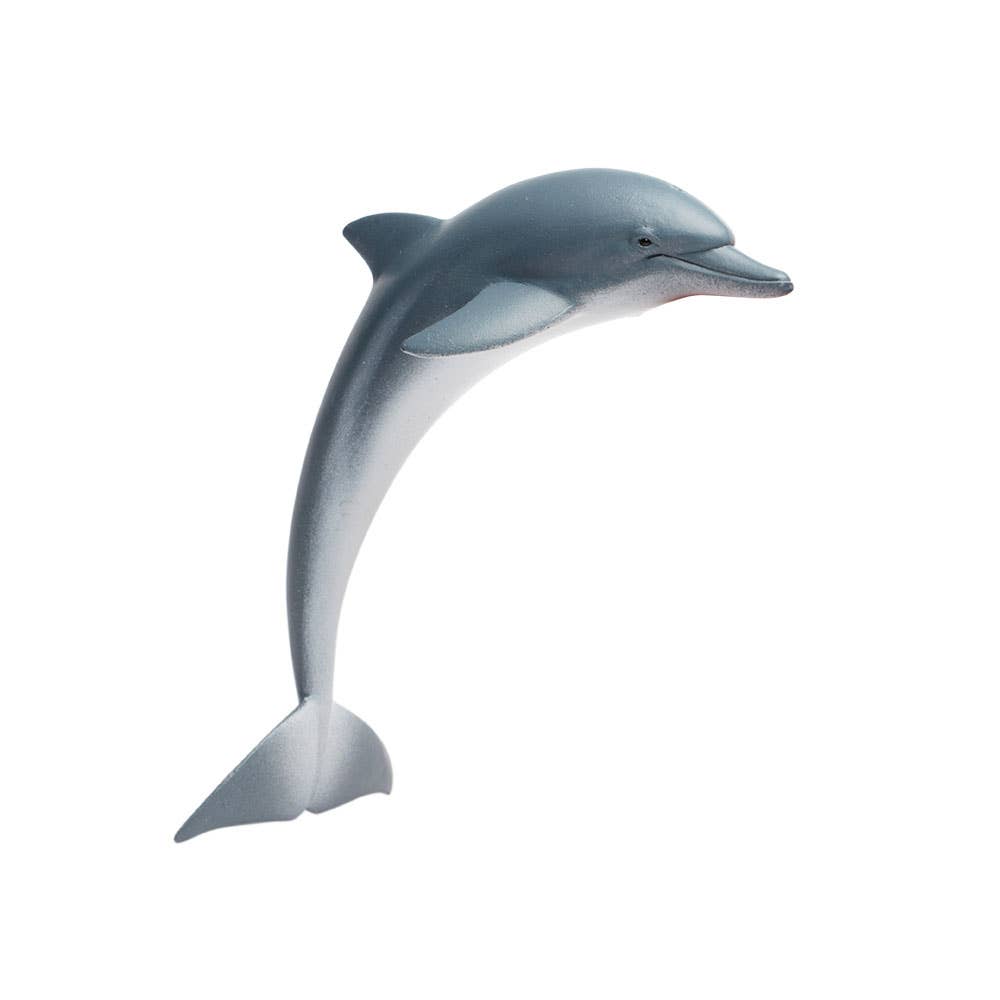 Dolphin - 200129