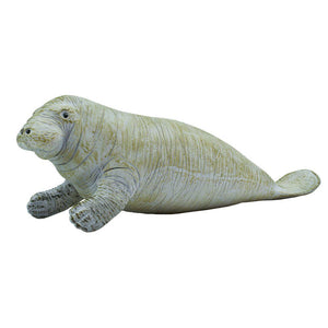 Manatee - 273929