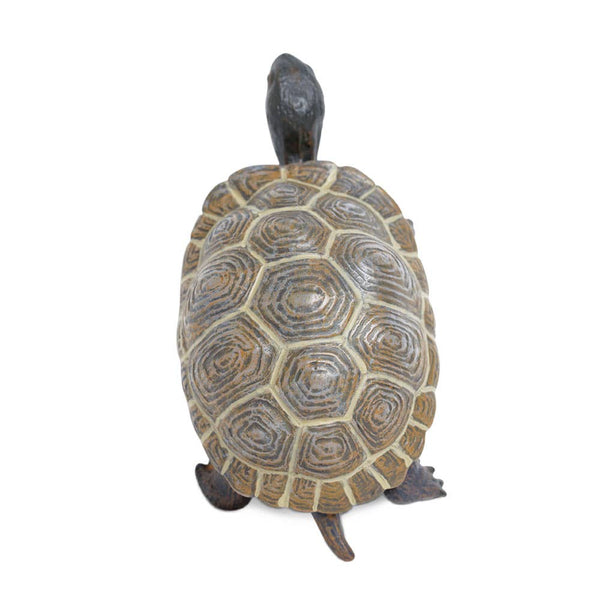 Tortoise Baby - 260829