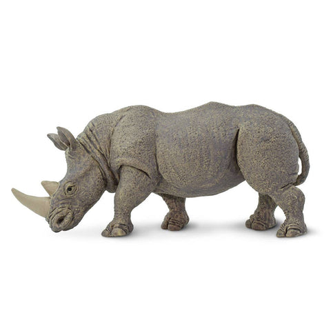 White Rhino - 270229