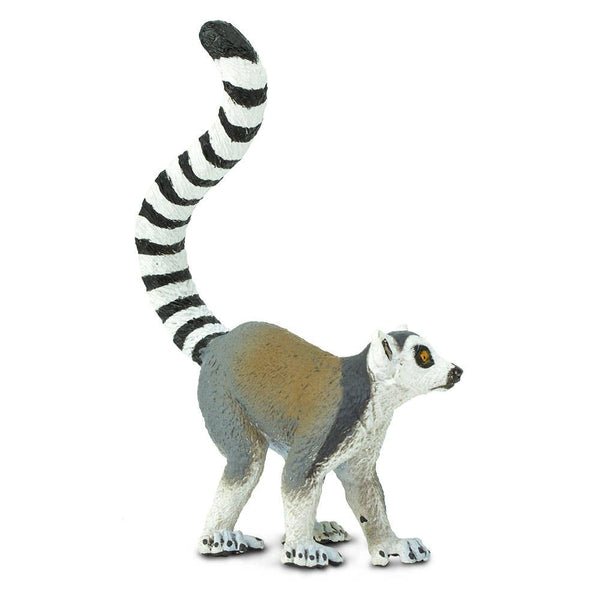 Ring - Tailed Lemur - 292229