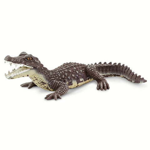 Caiman - 100238