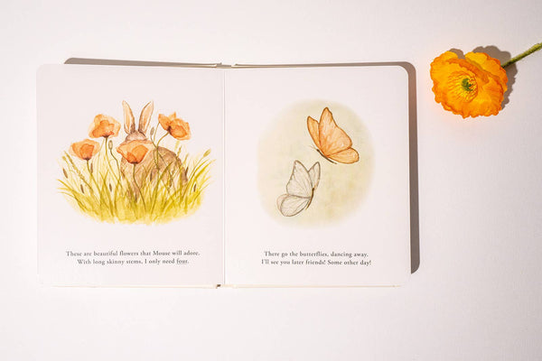 Paige and Tate Our Little Adventures Board Book Box Set for Kids