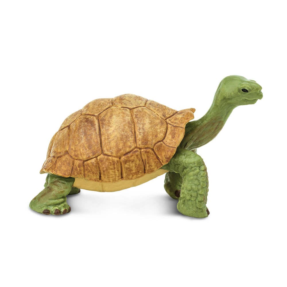 Giant Tortoise - 272529