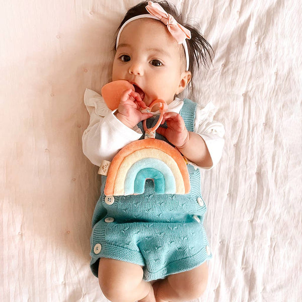 Itzy Pal™ Plush + Teether: Dino