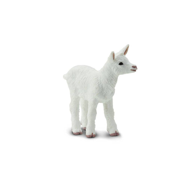 Kid Goat - 161229