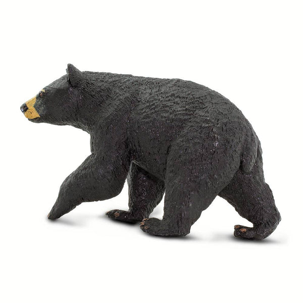 Black Bear - 273529